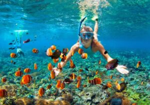 Que faire à Punta Cana : le paradis de la plongée et du snorkeling
